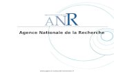 Www.agence-nationale-recherche.fr Agence Nationale de la Recherche.