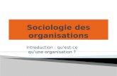 Introduction : qu’est-ce qu’une organisation ?.  La sociologie des organisations est à la fois ancienne et récente.  Elle coïncide d’abord avec la naissance.