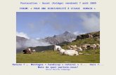 Pastoralies – Guzet (Ariège) vendredi 7 août 2009 FORUM: « POUR UNE BIODIVERSITÉ À VISAGE HUMAIN » Nature ? … Montagne = handicap « naturel » ?... Ours.
