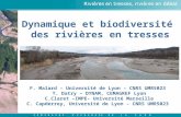 S E M I N A I R E D’ E C H A N G E S D E L A Z A B R 4 novembre 2010 - Sainte Croix (26) Rivières en tresses, rivières en débat Dynamique et biodiversité.