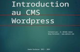 1 Introduction au CMS Wordpress Présenté par : M. BETARI Amine Blog Personnel :  Année Scolaire: 2013 - 2014.