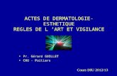 ACTES DE DERMATOLOGIE- ESTHETIQUE REGLES DE L ’ART ET VIGILANCE Pr. Gérard GUILLET CHU - Poitiers Cours DIU 2012/13.