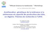 Amélioration génétique de la tolérance à la sécheresse et capacité de production des blés, en Algérie: Thèmes de recherche à l’UMC ‘’Wheat Science to textbooks.