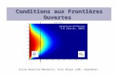Elise Nourtier-Mazauric, Eric Blayo (LMC, Grenoble) 22 11 advection-diffusion 2-D (Martin, 2003) Conditions aux Frontières Ouvertes.