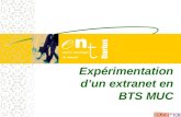 Expérimentation d’un extranet en BTS MUC. L’extranet… 1 – un environnement professionnel de nombreux avantages pédagogiques.