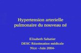 Hypertension arterielle pulmonaire du nouveau né Elisabeth Sabatier DESC Réanimation médicale Nice –Juin 2004-