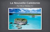La Nouvelle Calédonie Par Oliver Tildsley 5.1. Des Informations sur la Nouvelle Calédonie La population de la Nouvelle Calédonie est de 258 121 personnes.
