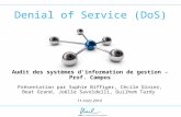 Denial of Service (DoS) Audit des systèmes d'information de gestion – Prof. Campos Présentation par Sophie Biffiger, Cécile Ginier, Beat Grand, Joëlle.