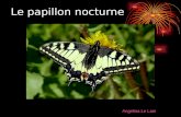 Le papillon nocturne Angelina Le Lain. Le nom de mon animal est le papillon nocturne. Le papillon nocturne fait partie des insectes.