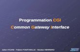 Programmation CGI Common Gateway Interface Julien FAURE - Fabien FONTVIEILLE - Nicolas HERRERO.