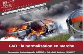 FAD : la normalisation en marche Commandant Stephan Lepouriel (DGSCGC) et Claire Petit Boulanger (RENAULT)