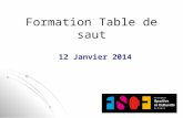 Formation Table de saut 12 Janvier 2014. Organigramme de la FSCF (Gymnastique Féminine) Président FSCF : Christian Babonneau Ligue Régionale Emmanuel.