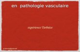 EDUCATION THERAPEutique en pathologie vasculaire expérience Tarbaise g.lance@wanadoo.fr.