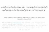 AGAP 22 octobre 20081 Analyse géophysique des risques de transfert de polluants métalliques dans un sol contaminé Julien THIESSON 1, Michel DABAS 2, Roger.