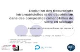 Evolution des fissurations intramatricielles et de décohésion dans des composites ciment-billes de verre en séchage Analyse microtomographique par rayons.