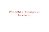 PROTÉINES : Structure et fonctions.. Le milieu biologique entourant les protéines est essentiellement composé d’eau. Ceci explique pourquoi les AA à l’intérieur.