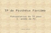 TP de Prothèse Fantôme Présentation du TP pour l ’année de P2 Ludovic Aubault.
