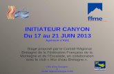 « Mur d’Eau Bretagne» & Comité régional Bretagne FFME INITIATEUR CANYON Du 17 au 21 JUIN 2013 Agrément n°4141 Stage proposé par le Comité Régional Bretagne.