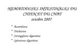 NEMATODOSES INTESTINALES DU CHIEN ET DU CHAT octobre 2007 Ascaridoses Trichurose Strongyloses digestives Spiruroses digestives