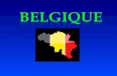Le drapeau de la Belgique est composé de trois bandes verticales noire (côté de la lance), or et rouge. L'article 193 de la Constitution (version 1994)