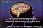 Cerveau Feminin. Voici le résultat de grandes études exhaustives Pour mieux connaître la masse cérébrale et ses divisions En rapport avec l’usage qui.