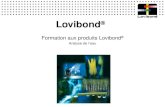 Lovibond ® Formation aux produits Lovibond ® Analyse de l´eau.
