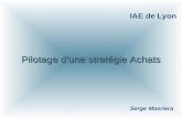 Serge Masriera Pilotage d’une stratégie Achats IAE de Lyon.