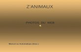 Z’ANIMAUX PHOTOS DU WEB Manuel ou Automatique (3sec.)