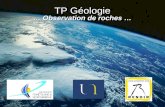 TP Géologie … Observation de roches …. Objectifs du TP  Trouver différentes propriétés propres aux roches  Apprendre à décrire un échantillon macroscopique.