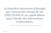 Le transfert résonnant d’énergie par mesure des temps de vie (FRET/FLIM) et ses applications pour l’étude des interactions moléculaires. 07/11/20131 Marion-Anne.