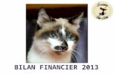 BILAN FINANCIER 2013. Quelques chiffres pour situer notre association Première adhésion le 24 janvier 2013 48 adhérents Premier chat pris en charge le.