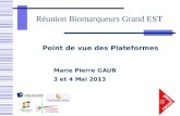 Marie Pierre GAUB 3 et 4 Mai 2013 Point de vue des Plateformes Réunion Biomarqueurs Grand EST.