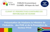 Présentation de Madame le Ministre de l’Industrie, des PME et de la Promotion du Secteur Privé CLIMAT DES AFFAIRES FORUM Economique GUINÉE- Afrique du.