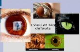 L'oeil et ses défauts. 1 - Structure de l'oeil Rôle des différents éléments L'Iris joue le rôle de diaphragme (D) Le cristalin joue le rôle de lentille.