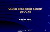 Centre Communal d'Action Sociale Janvier 20061 Analyse des Besoins Sociaux du CCAS Janvier 2006.