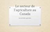 Le secteur de l’agriculture au Canada Les activités agricoles.