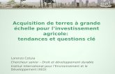 Acquisition de terres à grande échelle pour l’investissement agricole: tendances et questions clé Lorenzo Cotula Chercheur senior – Droit et développement.