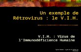 Sylvie Bardes – Lycée de la Vallée de Chevreuse Un exemple de Rétrovirus : le V.I.H. V.I.H. : Virus de l’Immunodéficience Humaine.