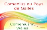 Comenius au Pays de Galles Comenius in Wales Crédit photo : Google Images