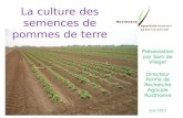 Présentation par Sam de Vlieger Directeur Ferme de Recherche Agricole Rusthoeve Juin 2013 La culture des semences de pommes de terre.