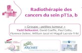 Radiothérapie des cancers du sein pT1a, b « Groupe : petites tumeur » Yazid Belkacémi, David Coeffic, Paul Cottu, Florence Dalenc, William Jacot et Magali.