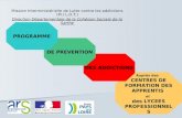 Mission Interministérielle de Lutte contre les addictions (M.I.L.D.T.) Direction Départementale de la Cohésion Sociale de la Sarthe PROGRAMME DE PREVENTION.