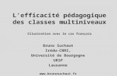 L’efficacité pédagogique des classes multiniveaux Illustration avec le cas français Bruno Suchaut Irédu-CNRS, Université de Bourgogne URSP Lausanne .