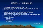 FEMS - PRAGUE Le SMARNU observateur encore 1 an Participe aux AG de la FEMS (Prague 16 et 17 mai / Varsovie 3 et 4/10) Rappel sur la place de la FEMS dans.