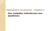 Des maladies infectieuses aux épidémies Pathogénèse microbienne – Chapitre 2.