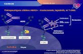 La Lettre du Cancérologue 1 Cancers du sein Thérapeutiques ciblées HER2+ : trastuzumab, lapatinib, et T-DM1 Contexte D’après Spector NL et al. J Clin Oncol.