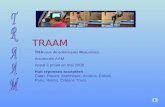 TRAAM TRAvaux Académiques Mutualisés Anciennes AAM Appel à projet en mai 2008 Huit réponses acceptées : Caen, Rouen, Martinique, Amiens, Créteil, Paris,