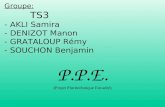 Groupe: TS3 - AKLI Samira - DENIZOT Manon - GRATALOUP Rémy - SOUCHON Benjamin P.P.E. (Projet Pluritechnique Encadré)