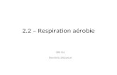 2.2 – Respiration aérobie SBI 4U Dominic Décoeur.