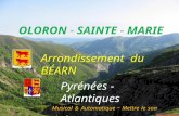 OLORON - SAINTE - MARIE Arrondissement du BÉARN Pyrénées - Atlantiques Musical & Automatique - Mettre le son plus fort.